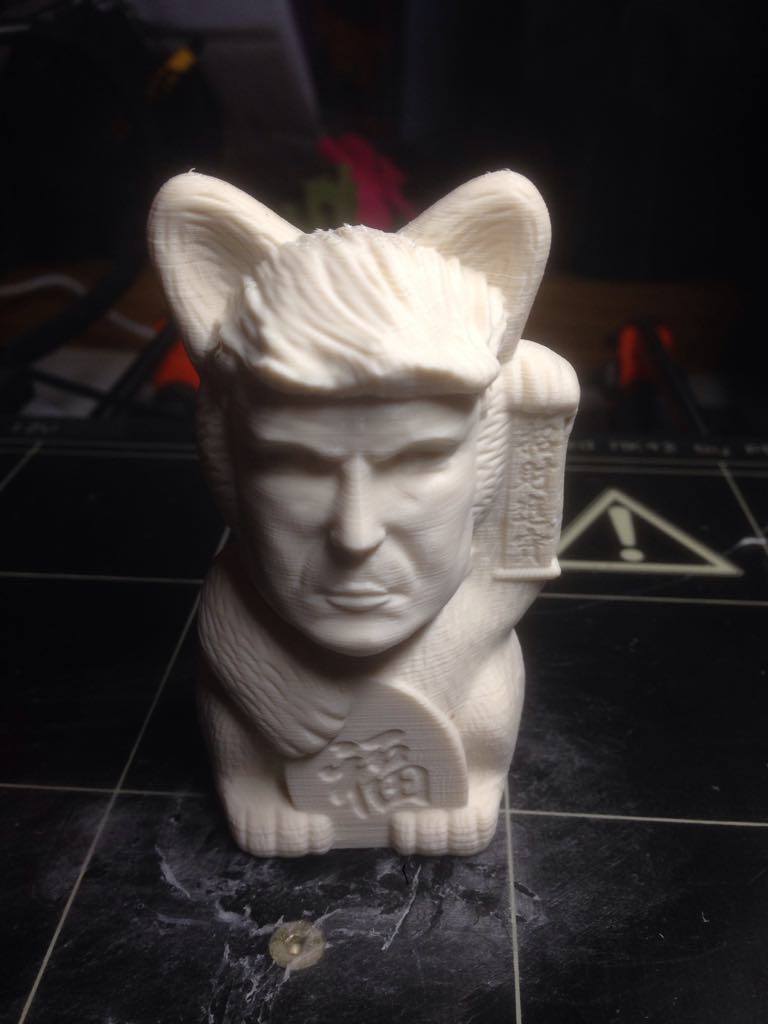 'Kot Trump: zabawny kot i statuetka Trumpa'