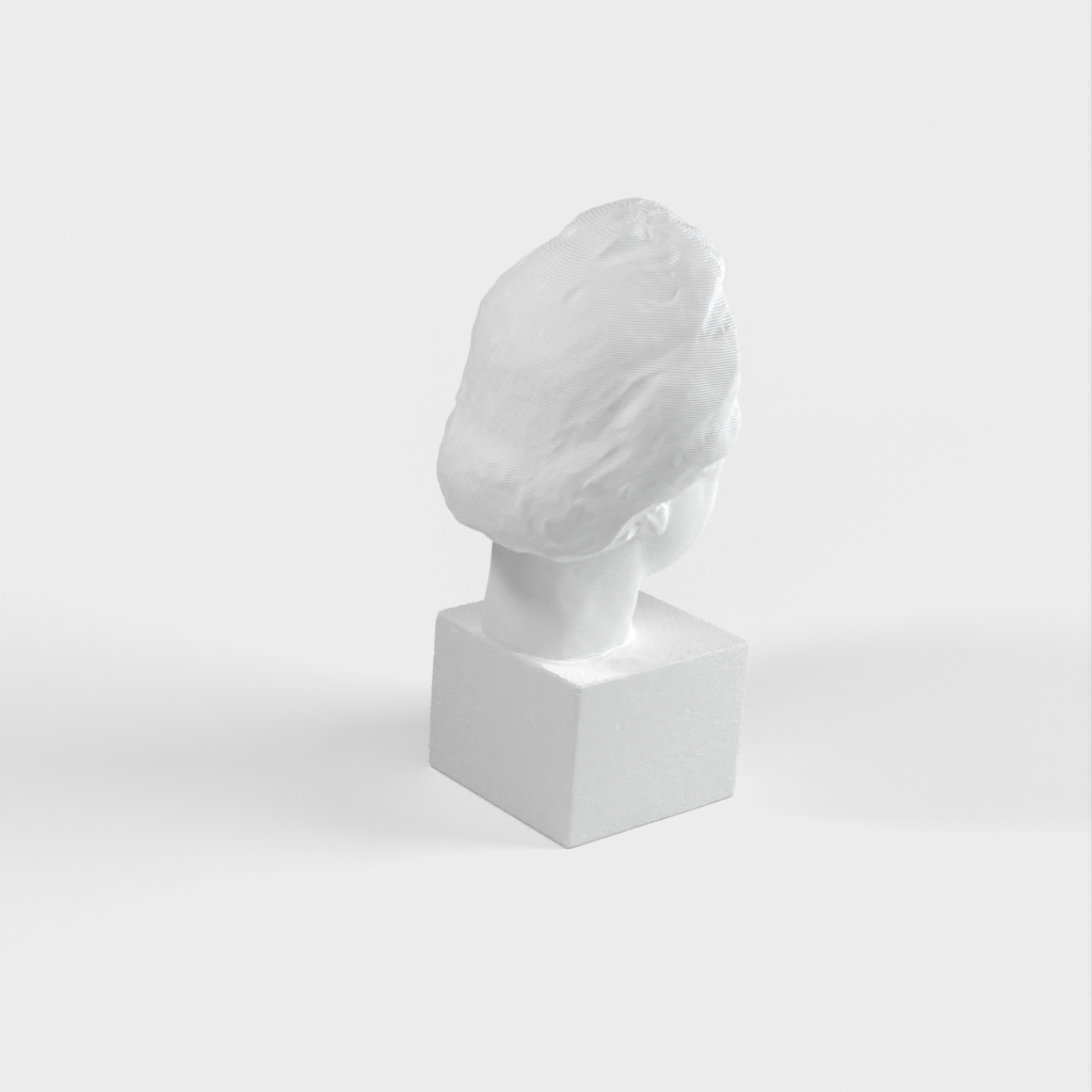 Skan 3D biustu Alberta Einsteina - statua z brązu do druku