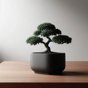 Nowoczesny kwadratowy wazon do bonsai i dekoracji