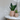 Moderne GeoBloom plantekrukke med geometrisk design