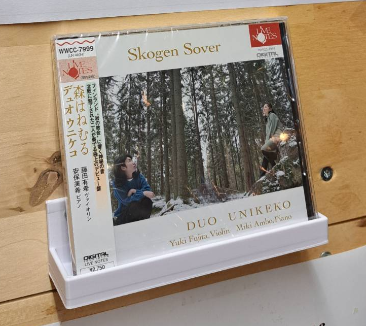 Ścienny stojak na CD