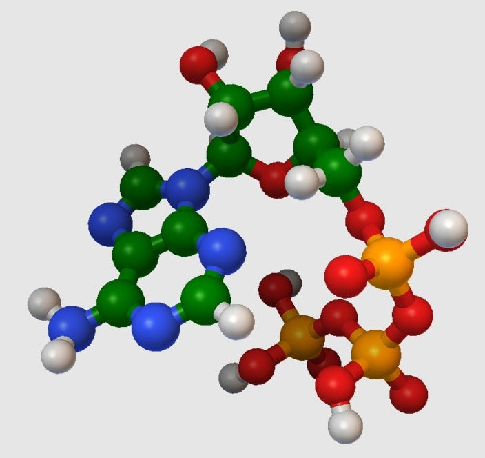 Model molekularny - ATP (trifosforan adeniny) - Model w skali atomowej